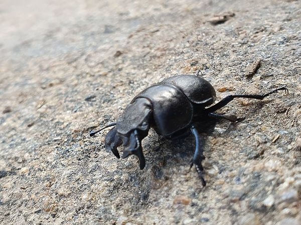 В Ростовской области начался сезон ловли голавля нахлыстом