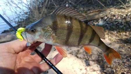 Весенний джиг-риг + мягкий силикон Весенний джиг-риг + мягкий силикон