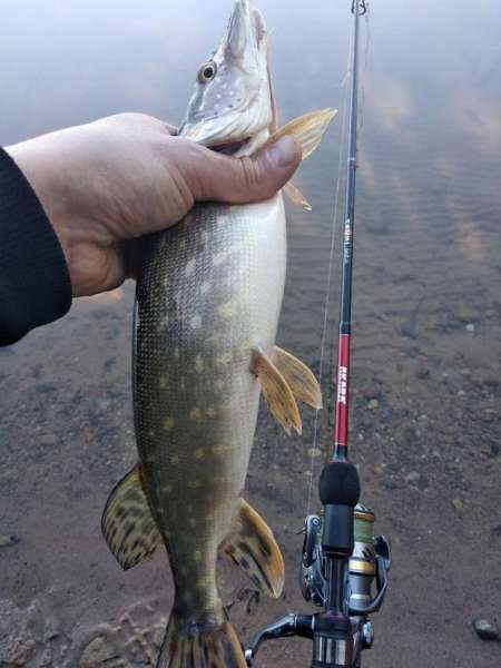 Весенний джиг-риг + мягкий силикон Весенний джиг-риг + мягкий силикон