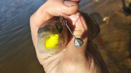 Весенний джиг-риг + мягкий силикон Весенний джиг-риг + мягкий силикон