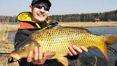 Весенний карп 2020 в Беларуси Весенний карп 2020 в Беларуси