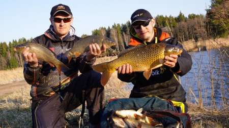 Весенний карп 2020 в Беларуси Весенний карп 2020 в Беларуси