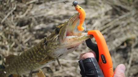 Весенняя щука на джиг 2020