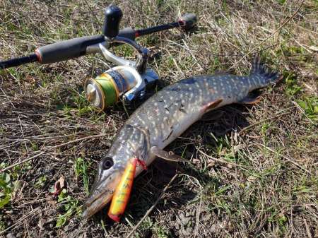 Весна и поппер