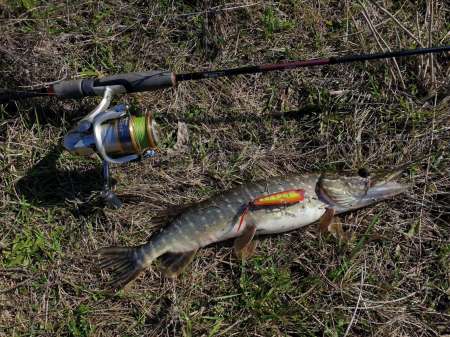 Весна и поппер