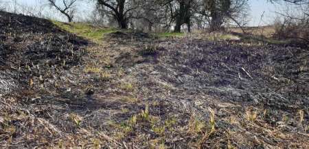 Весна и поппер