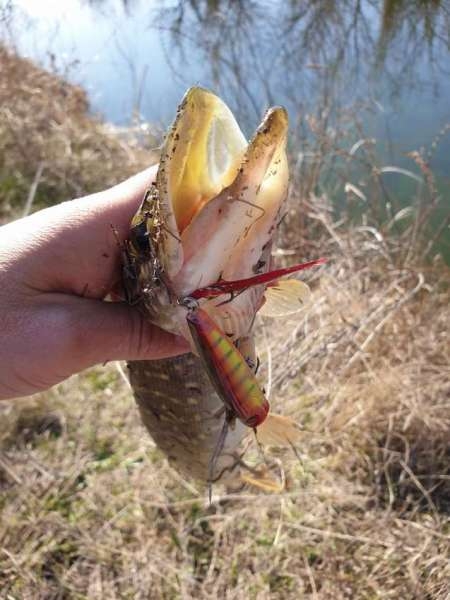 Весна и поппер