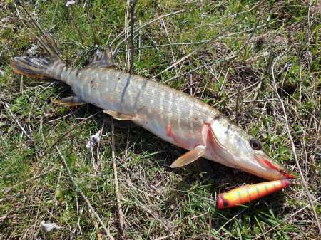 Весна и поппер