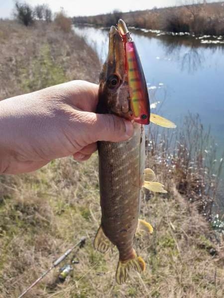 Весна и поппер