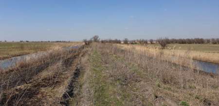 Весна и поппер