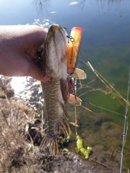 Весна и поппер