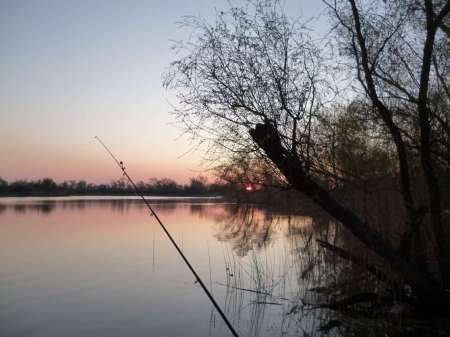 Впервые на 15-й за карасем