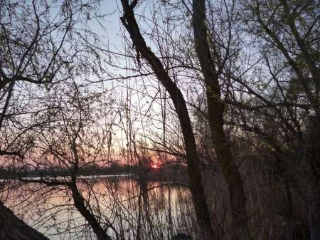 Впервые на 15-й за карасем