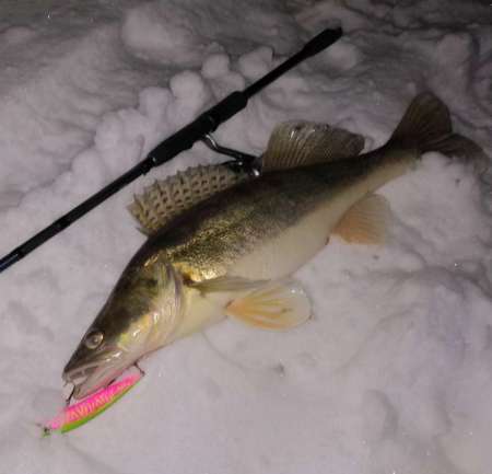 За ночным судаком на нижнюю Москву-реку!