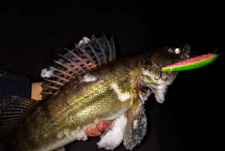 За ночным судаком на нижнюю Москву-реку!