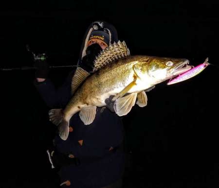 За ночным судаком на нижнюю Москву-реку!