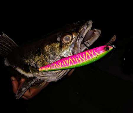 За ночным судаком на нижнюю Москву-реку!