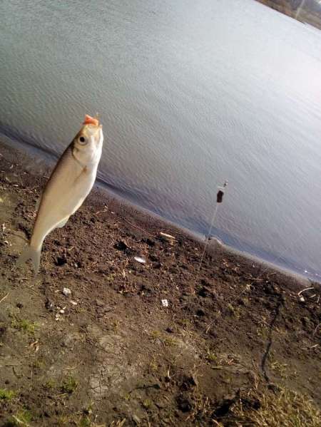 За уклейкой на пруд Агеевский