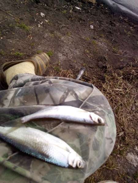 За уклейкой на пруд Агеевский