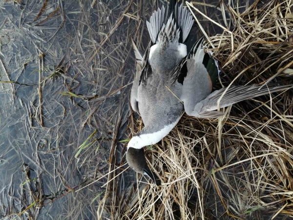 Заимка! Второй выезд! Заимка! Второй выезд!