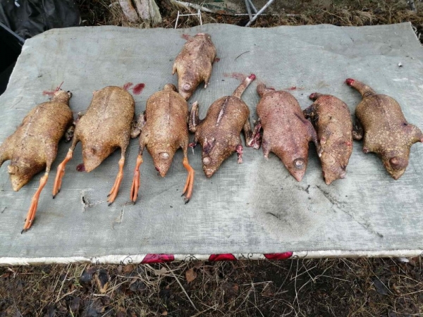 Заимка! Второй выезд! Заимка! Второй выезд!