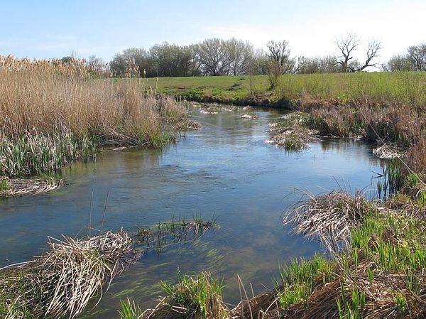 Абрикос отцвел – пора за голавлём