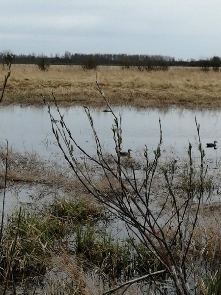 Заимка - Закрытие!!!