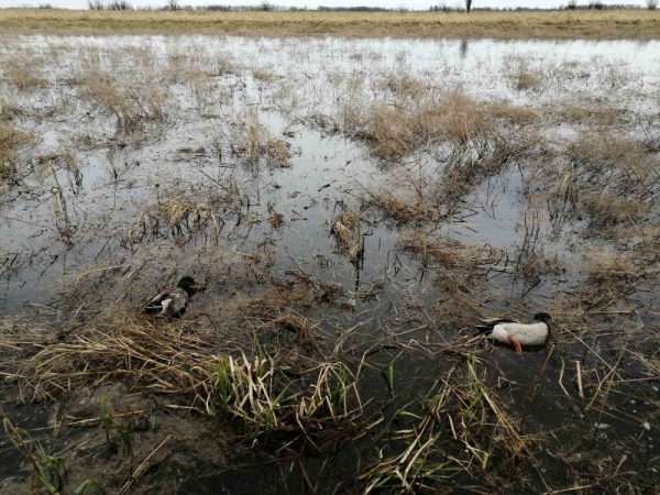 Заимка! Второй выезд! Заимка! Второй выезд!