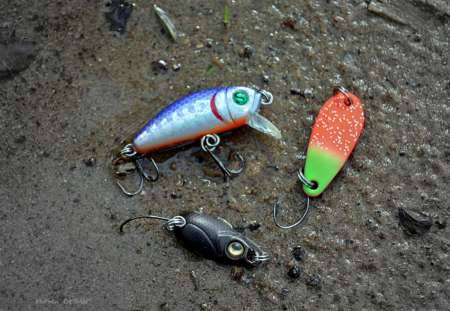 Бассейн с пираньями Бассейн с пираньями