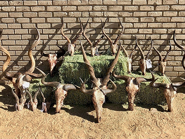 Что могут короли?