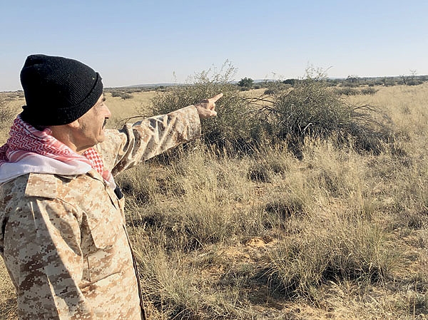 Что могут короли?