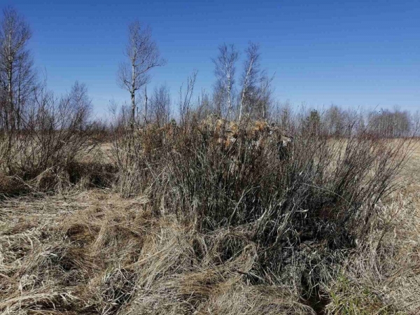 Заимка! Второй выезд! Заимка! Второй выезд!