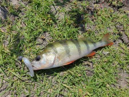 Джиг на глубоком карьере