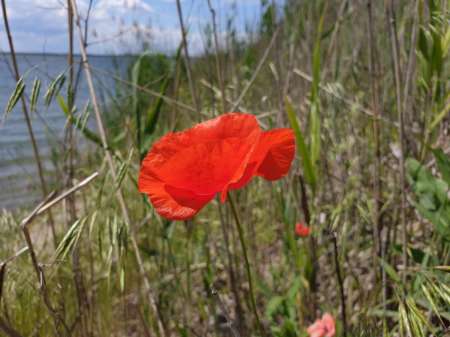 Джиг на глубоком карьере