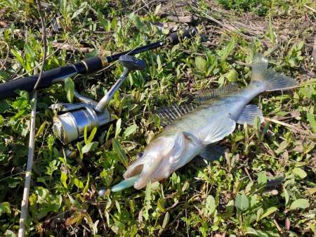 Джиг на глубоком карьере