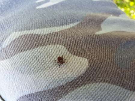 Джиг на глубоком карьере