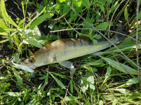 Джиг на глубоком карьере