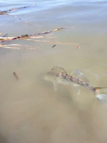 Джиг на глубоком карьере