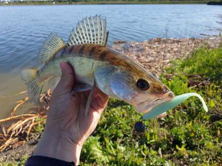 Джиг на глубоком карьере