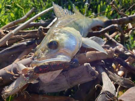 Джиг на глубоком карьере