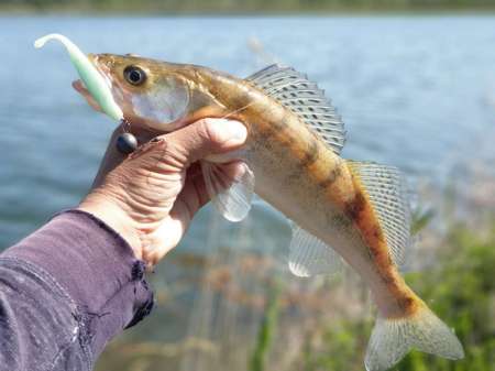 Джиг на глубоком карьере