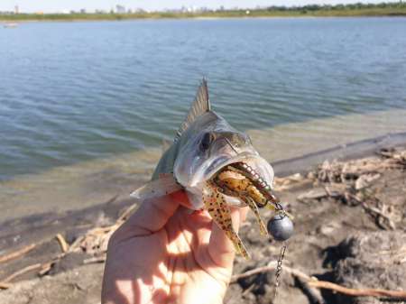 Джиг на глубоком карьере