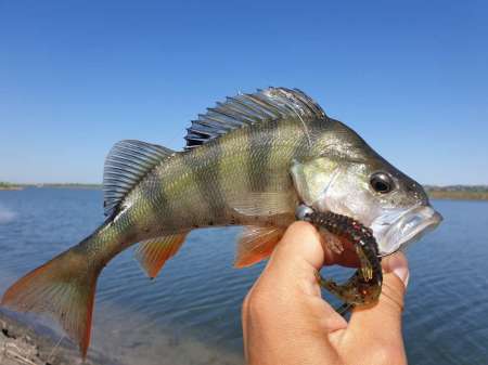 Джиг на глубоком карьере