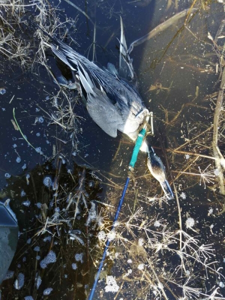 Заимка - Закрытие!!!