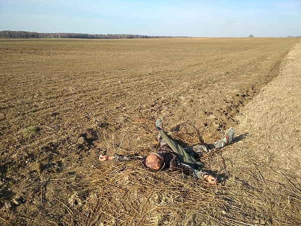 Гуси Вологодчины Гуси Вологодчины