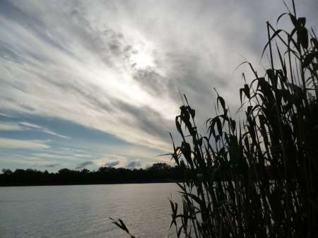 Холостой дубль Холостой дубль