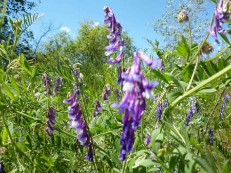 Холостой дубль Холостой дубль