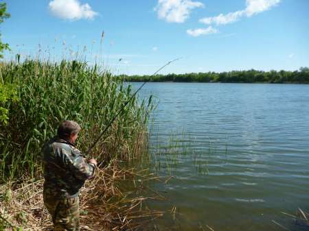 Холостой дубль Холостой дубль