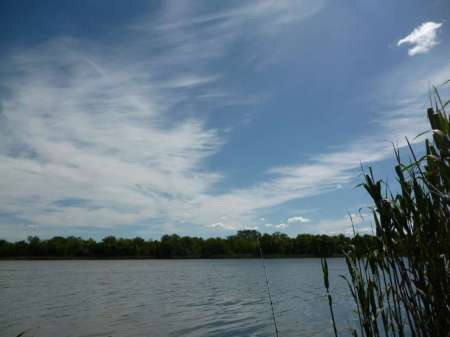 Холостой дубль Холостой дубль