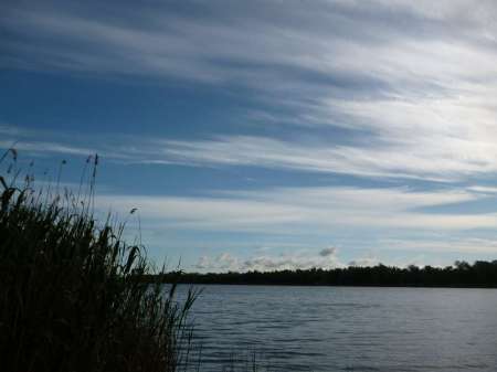 Холостой дубль Холостой дубль